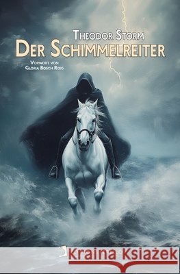 Der Schimmelreiter Storm, Theodor 9791387576547 Edicions Perello - książka