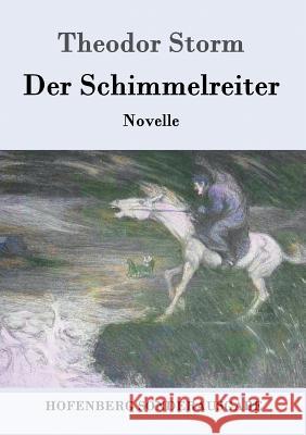 Der Schimmelreiter: Novelle Theodor Storm 9783843015516 Hofenberg - książka