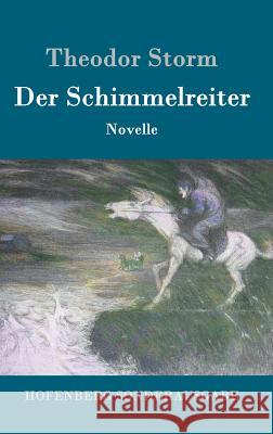 Der Schimmelreiter: Novelle Theodor Storm 9783843015523 Hofenberg - książka