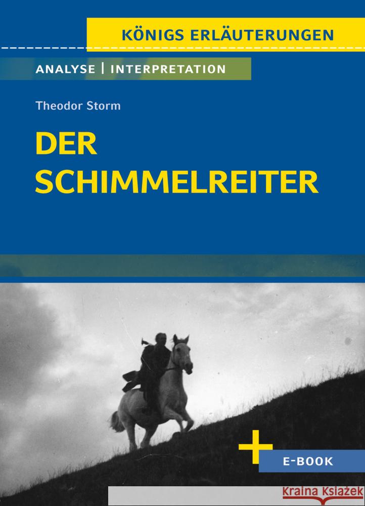 Der Schimmelreiter von Theodor Storm - Textanalyse und Interpretation Storm, Theodor 9783804420960 Bange - książka