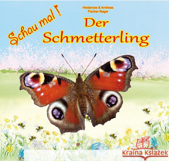 Der Schmetterling : Bilderbuch Fischer-Nagel, Heiderose; Fischer-Nagel, Andreas 9783930038800 Fischer-Nagel - książka