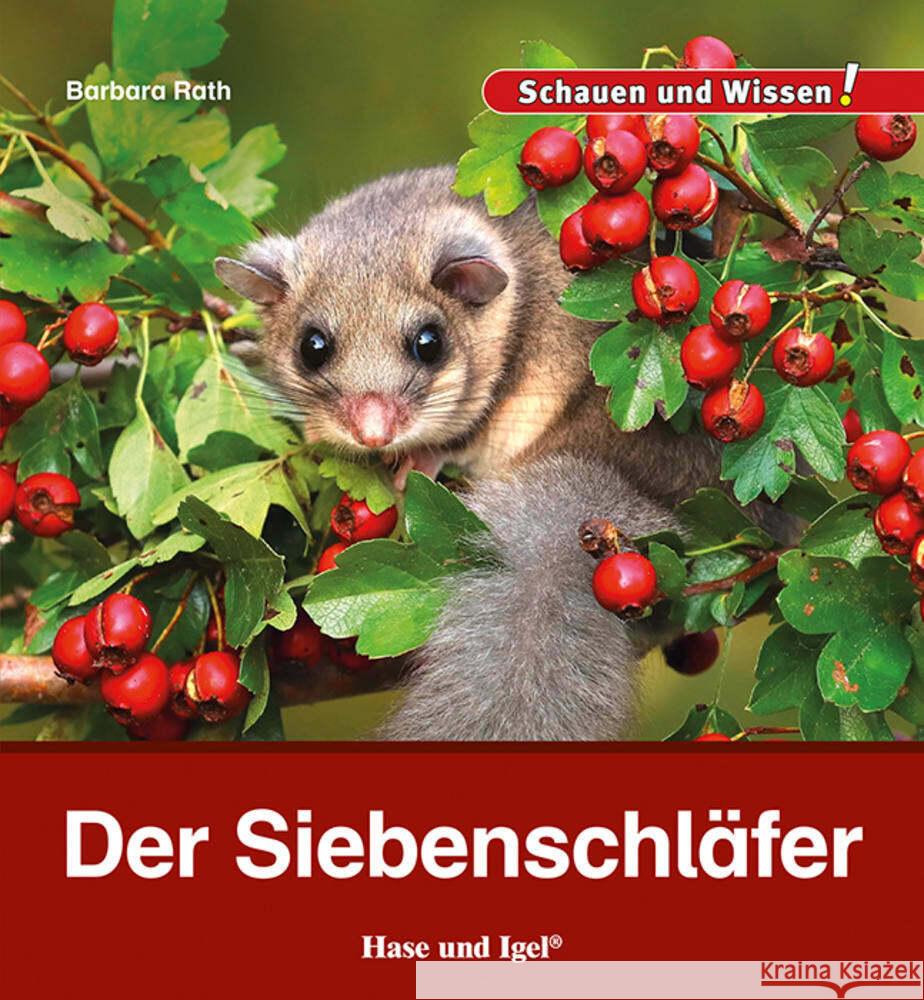 Der Siebenschläfer Rath, Barbara 9783863164690 Hase und Igel - książka