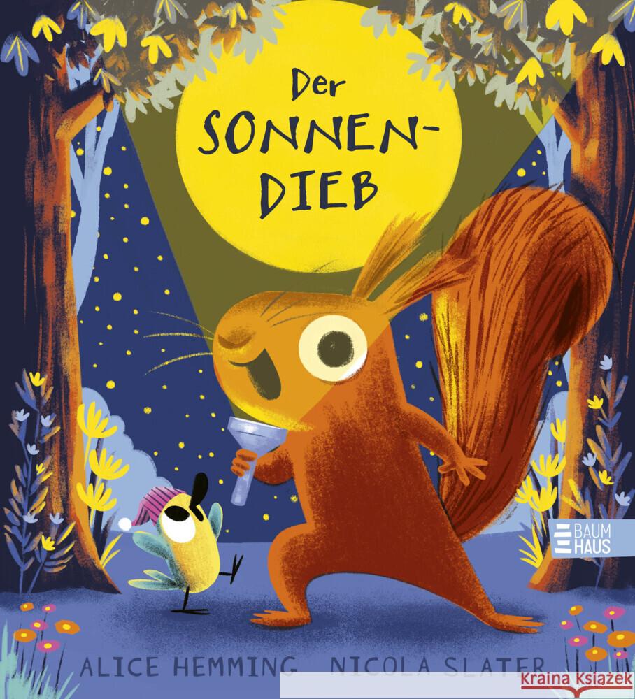 Der Sonnendieb Hemming, Alice 9783833910227 Baumhaus Medien - książka