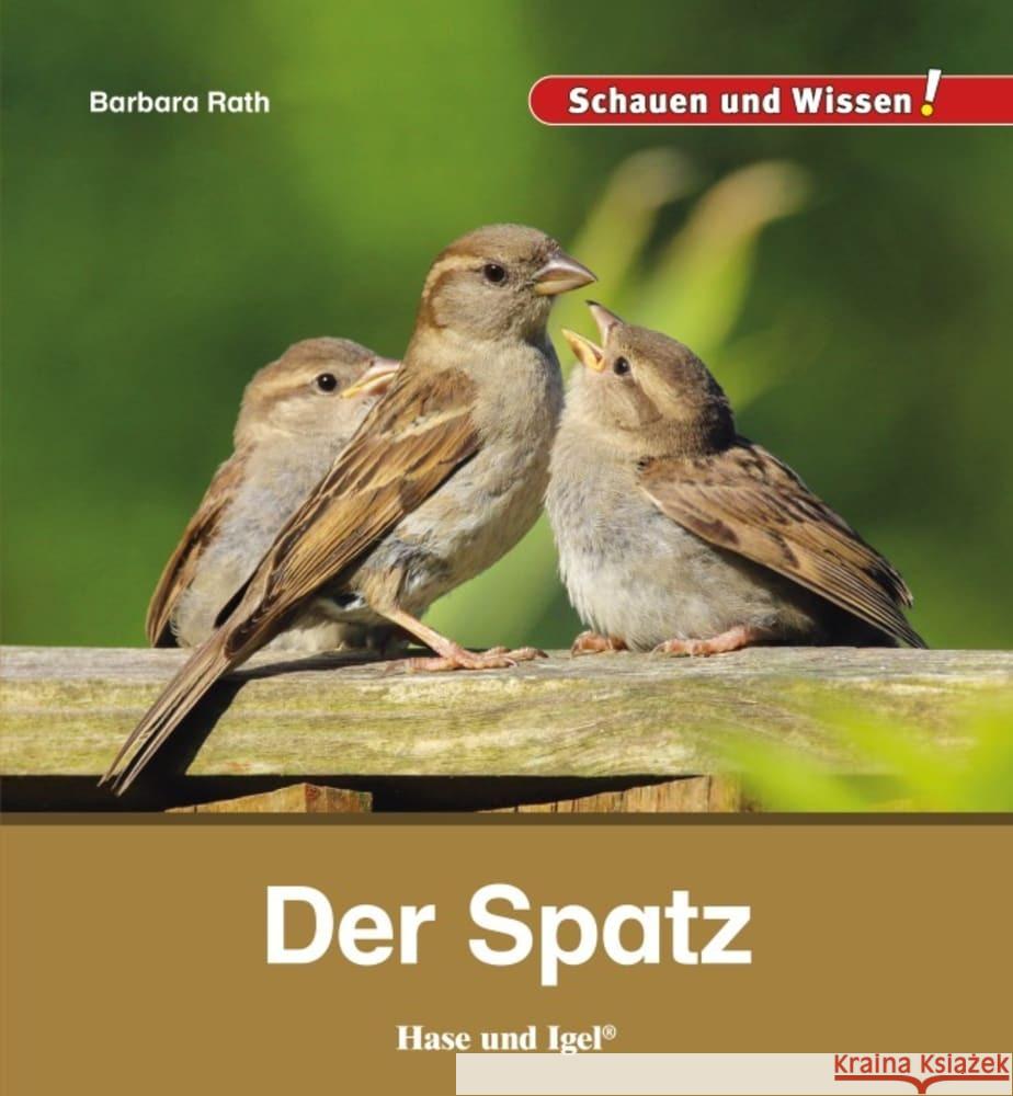 Der Spatz Rath, Barbara 9783863163624 Hase und Igel - książka