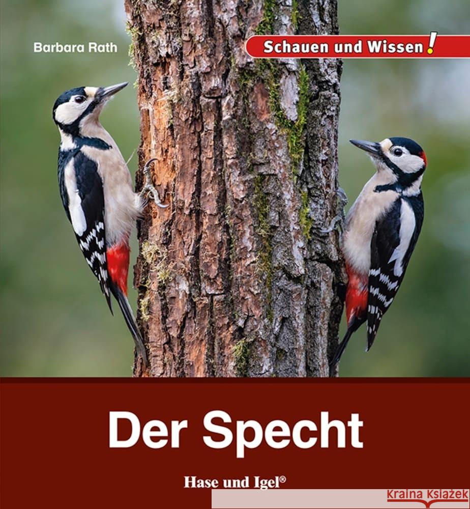 Der Specht Rath, Barbara 9783863164232 Hase und Igel - książka