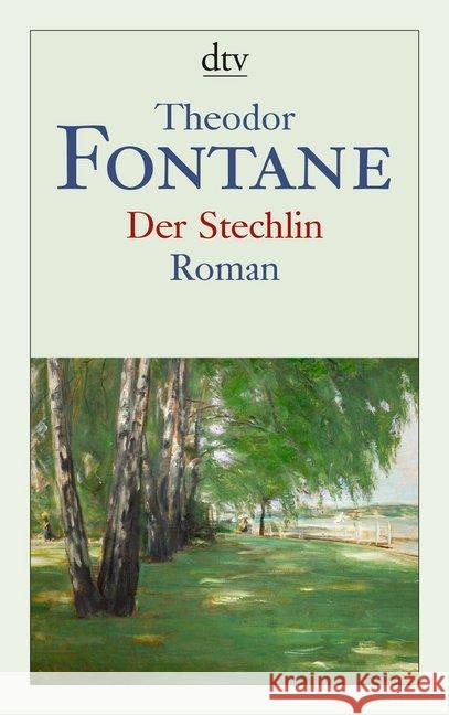 Der Stechlin : Roman Fontane, Theodor 9783423143257 DTV - książka