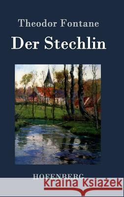Der Stechlin: Roman Theodor Fontane 9783843070102 Hofenberg - książka