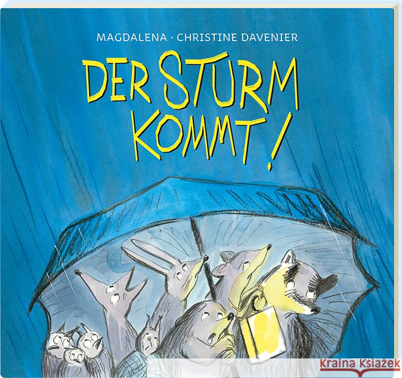 Der Sturm kommt! Magdalena 9783711740243 Picus Verlag - książka