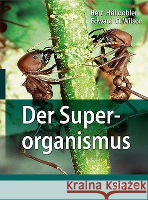 Der Superorganismus: Der Erfolg Von Ameisen, Bienen, Wespen Und Termiten Afflerbach, Kerstin 9783540937661 Springer, Berlin - książka