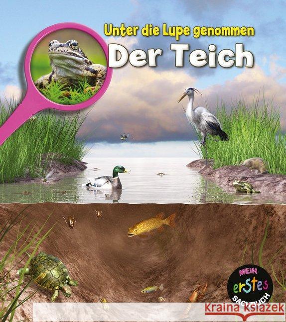 Der Teich : Mit digitalem Zusatzangebot Spilsbury, Louise 9789463410311 Ars Scribendi - książka