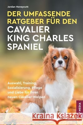 Der Umfassende Ratgeber F?r Den Cavalier King Charles Spaniel: Auswahl, Training, Sozialisierung, Pflege und Liebe F?r Ihren Neuen Cavalier-Welpen Jordan Honeycutt 9781961846227 LP Media Inc. - książka