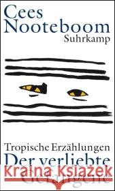 Der verliebte Gefangene : Tropische Erzählungen Nooteboom, Cees 9783518417461 Suhrkamp - książka