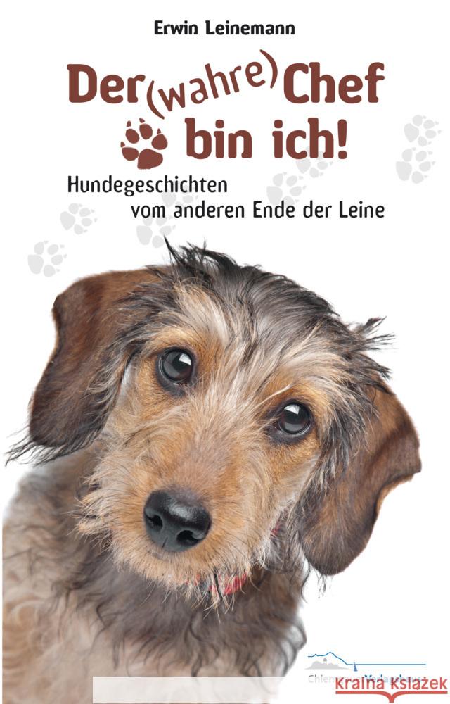 Der (wahre) Chef bin ich! : Hundegeschichten vom anderen Ende der Leine Leinemann, Erwin 9783945292006 Chiemgauer Verlagshaus - książka