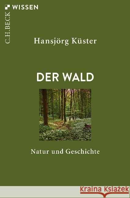 Der Wald : Natur und Geschichte Küster, Hansjörg 9783406732164 Beck - książka