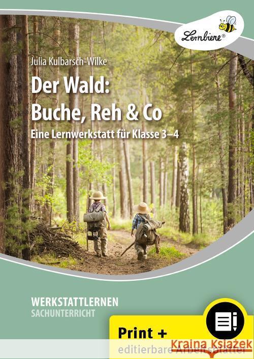 Der Wald: Buche, Reh & Co, m. 1 CD-ROM Baack, Wibke 9783746810584 Lernbiene Verlag - książka