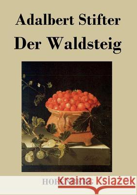 Der Waldsteig Adalbert Stifter   9783843020190 Hofenberg - książka