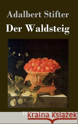 Der Waldsteig Adalbert Stifter 9783843020206 Hofenberg - książka