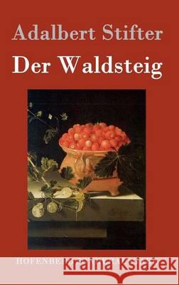 Der Waldsteig Adalbert Stifter 9783843076371 Hofenberg - książka