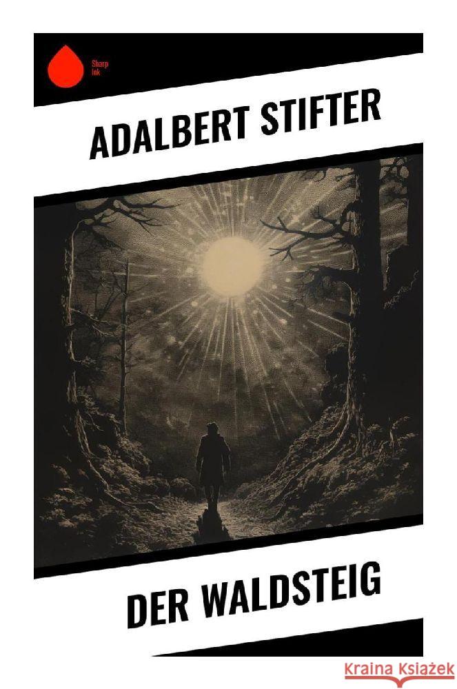 Der Waldsteig Stifter, Adalbert 9788028347314 Sharp Ink - książka