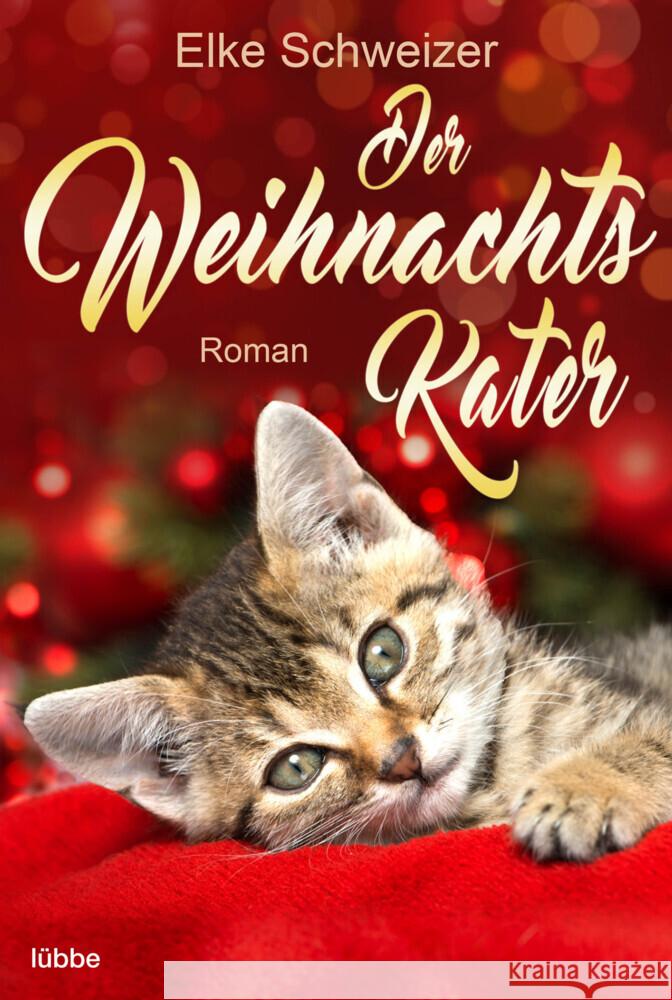Der Weihnachtskater Schweizer, Elke 9783404185504 Bastei Lübbe - książka