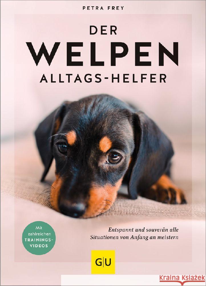 Der Welpen-Alltags-Helfer Frey, Petra 9783833889820 Gräfe & Unzer - książka