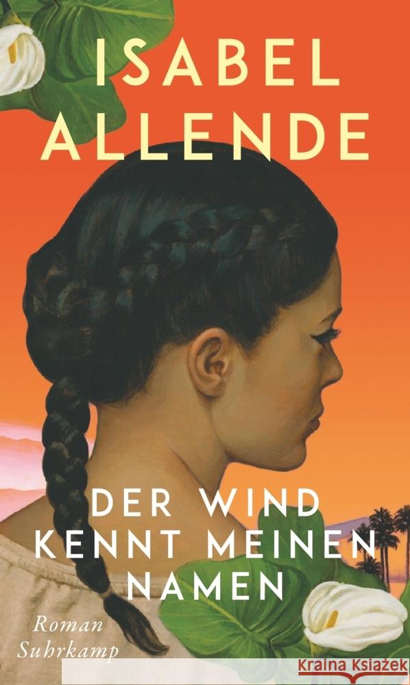 Der Wind kennt meinen Namen Allende, Isabel 9783518432006 Suhrkamp - książka