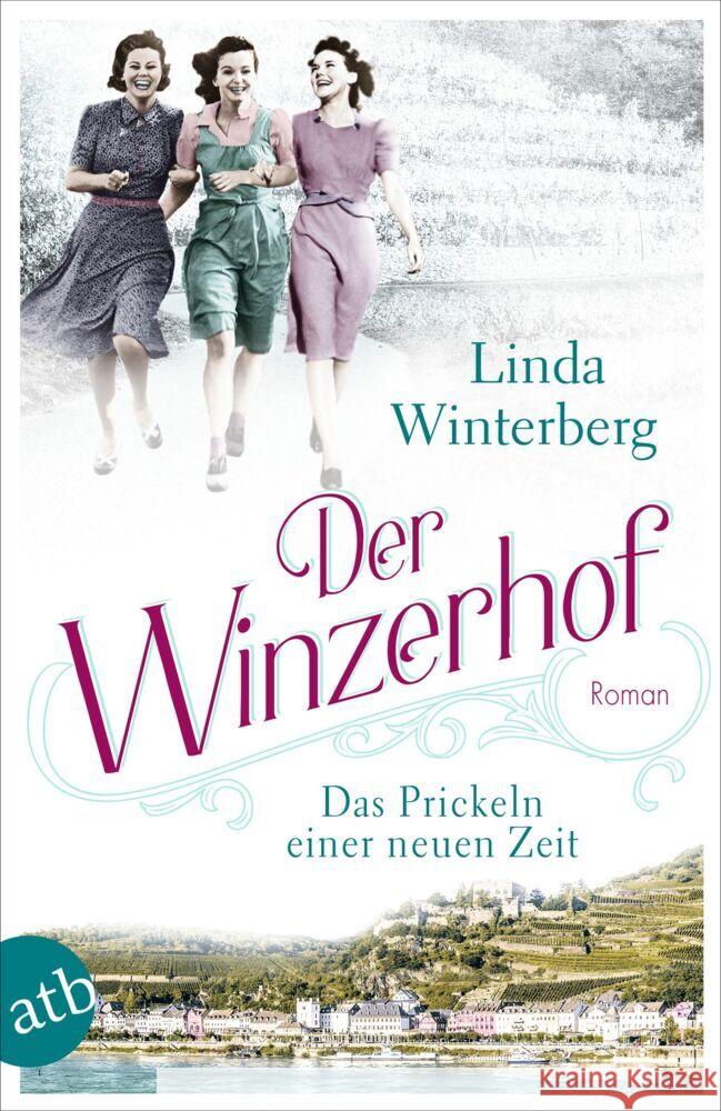 Der Winzerhof - Das Prickeln einer neuen Zeit Winterberg, Linda 9783746638119 Aufbau TB - książka