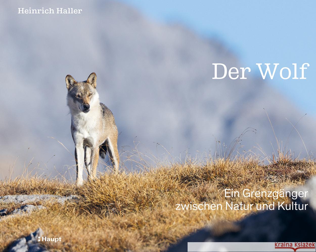 Der Wolf Haller, Heinrich 9783258084329 Haupt - książka