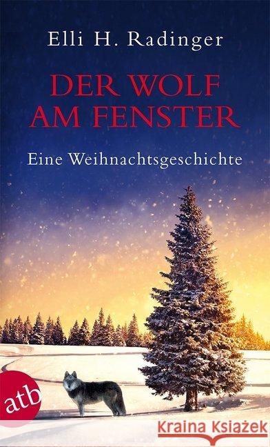 Der Wolf am Fenster : Eine Weihnachtsgeschichte Radinger, Elli H. 9783746631691 Aufbau TB - książka
