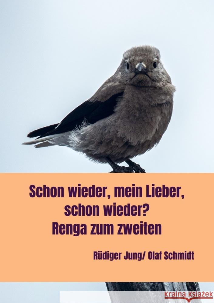 der zweite teil Schmidt, Olaf 9789403736259 Bookmundo - książka