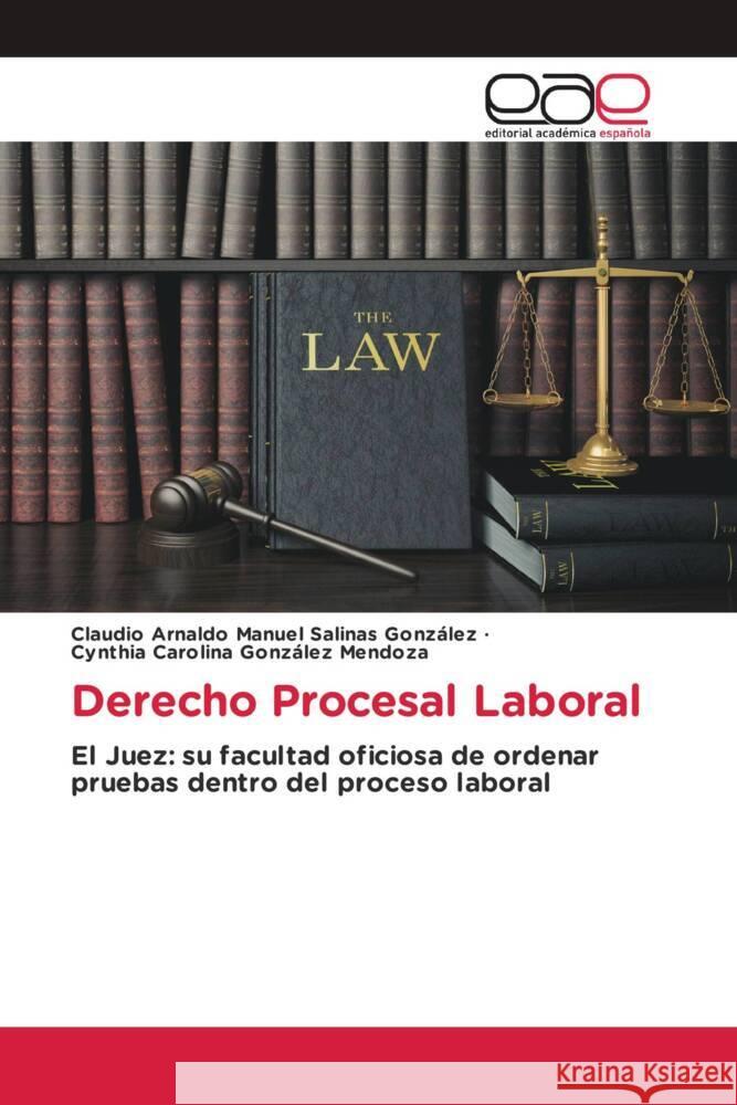 Derecho Procesal Laboral Salinas González, Claudio Arnaldo Manuel, González Mendoza, Cynthia Carolina 9783639602210 Editorial Académica Española - książka