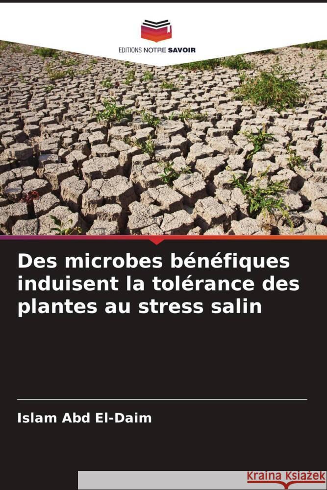 Des microbes bénéfiques induisent la tolérance des plantes au stress salin Abd El-Daim, Islam 9786206433378 Editions Notre Savoir - książka
