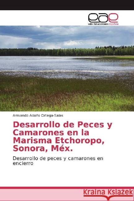 Desarrollo de Peces y Camarones en la Marisma Etchoropo, Sonora, Méx. : Desarrollo de peces y camarones en encierro Ortega-Salas, Armando Adolfo 9783639806540 Editorial Académica Española - książka