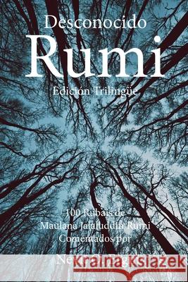 Desconocido Rumi: Selección de Rubaís de Maulana Jalaluddin Rumi y Comentarios por Nevit O. Ergin del Valle, Oscar Diaz 9781947666047 Powerhouse Publishing (AUS) - książka