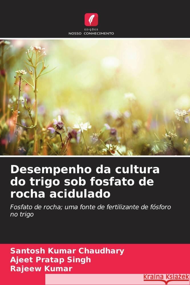 Desempenho da cultura do trigo sob fosfato de rocha acidulado Santosh Kumar Chaudhary Ajeet Pratap Singh Rajeew Kumar 9786208326340 Edicoes Nosso Conhecimento - książka