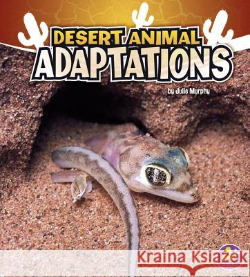 Desert Animal Adaptations Julie Murphy 9781429660303 Capstone Press - książka