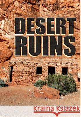 Desert Ruins Ernie Moulton 9781636492506 Global Summit House - książka