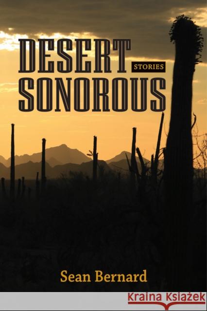 Desert Sonorous: Stories Sean Bernard 9781625341372 University of Massachusetts Press - książka
