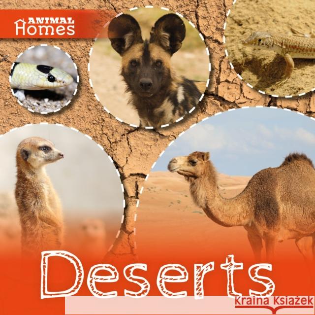 Deserts John Wood 9781786371348 Animal Homes - książka