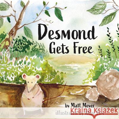 Desmond Gets Free Matt Meyer Meyer Khim Fam 9781558968660 Skinner House Books - książka