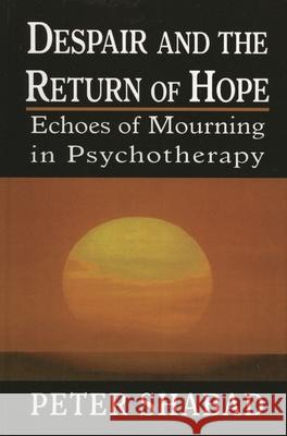 Despair and the Return of Hope: Echoes of Mourning in Psychotherapy Shabad, Peter C. 9780765703156 Jason Aronson - książka