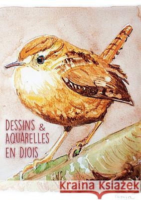 Dessins & Aquarelles en Diois: Atelier Escdd Atelier Dessin Aquarelle 9782322471409 Books on Demand - książka