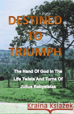 Destined To Triumph Babyetsiza, Julius 9781461035794 Createspace - książka