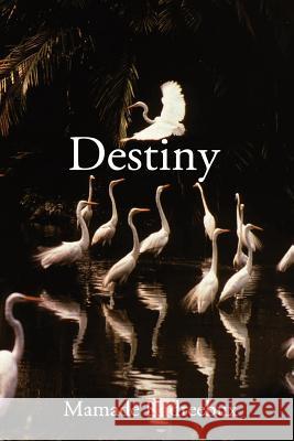 Destiny Mr Mamade Kadreebux 9781977788122 Createspace Independent Publishing Platform - książka