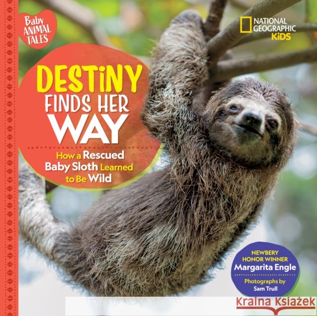 Destiny Finds Her Way National Geographic KIds 9781426372346 National Geographic Kids - książka