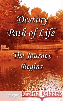 Destiny Path of Life - The Journey Begins Joseph James Hartmann Krystal Morgan Stahl 9780984242207 Varymedia - książka