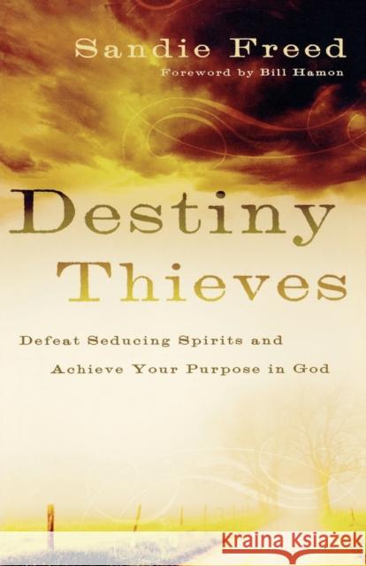 Destiny Thieves: Defeat Seducing Spirits and Achieve Your Purpose in God Freed, Sandie 9780800794200 Chosen Books - książka