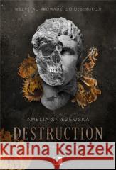 Destruction Amelia Śnieżewska 9788383621494 NieZwykłe - książka