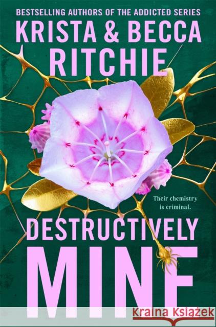 Destructively Mine Becca Ritchie 9781035025114 Pan Macmillan - książka
