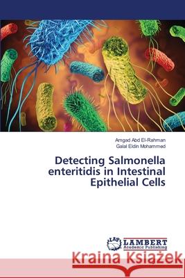 Detecting Salmonella enteritidis in Intestinal Epithelial Cells Amgad Ab Galal Eldin Mohammed 9786203200850 LAP Lambert Academic Publishing - książka